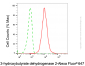 KD-Validated Anti-BDH2 Mouse Monoclonal Antibody